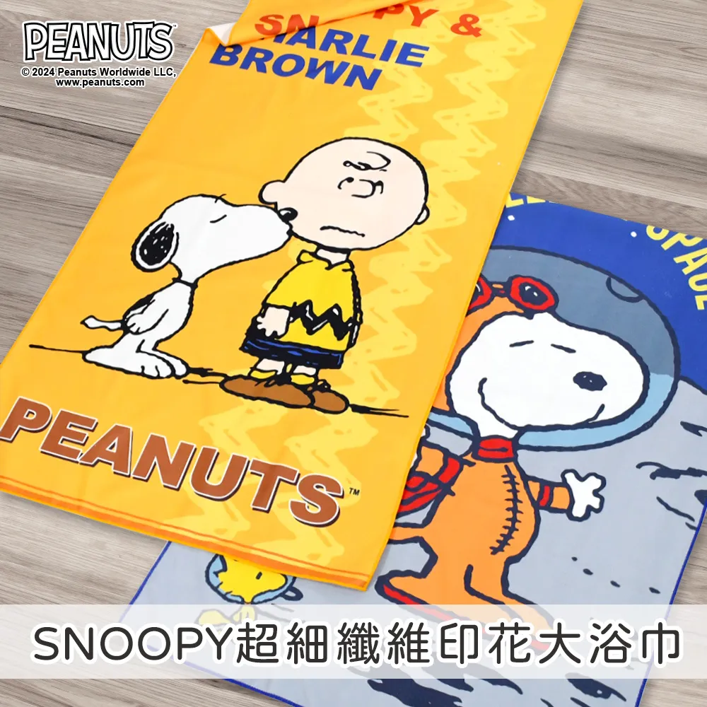 史努比SNOOPY 浴帽 防水浴帽 台灣正版授權 歷史價格詳細信息