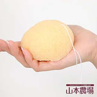 【山本農場】蒟蒻QQ海綿全身用-共2色(日本洗澡海綿) 歷史價格詳細信息