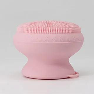 創意設計讓生活更美好☆多功能居家好幫手二合一斜撕去毛靜電刷黏毛刷塵刷|兩色可選 歷史價格詳細信息