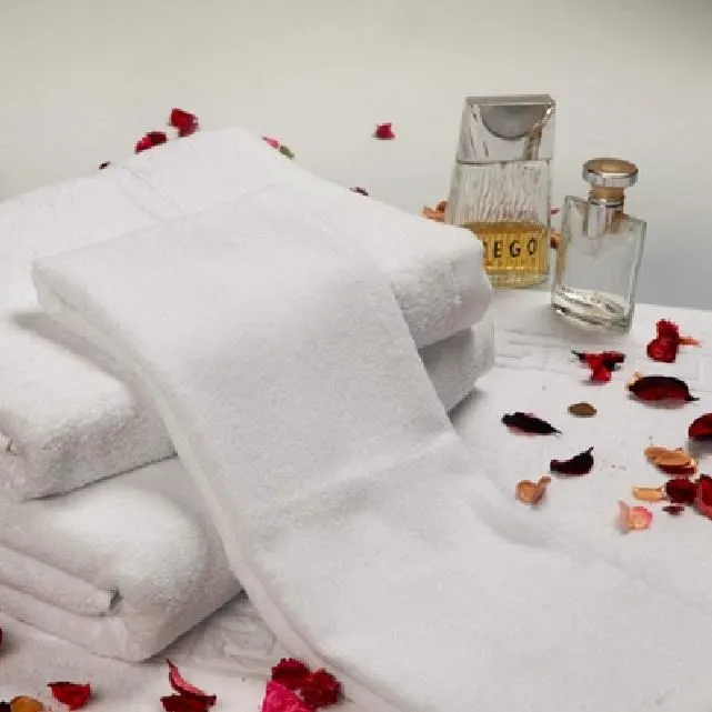 五星級飯店專用純棉毛巾料腳踏墊 (2入) 歷史價格詳細信息