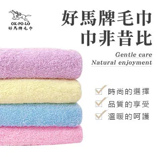 【OKPOLO】台灣製造厚磅幸運草純棉毛巾12入 歷史價格詳細信息