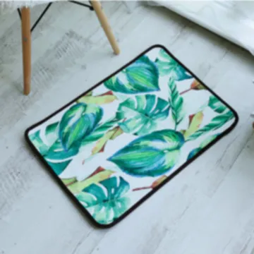 【收納職人】玄關浴室門墊地墊腳踏墊防滑墊40*60cm(姑婆芋) 價格比較,價格查詢,歷史價格詳細信息