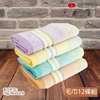 【台灣興隆毛巾製】橫紋雙層棉紗雙人毛巾被-藍條紋 (單條) 歷史價格詳細信息