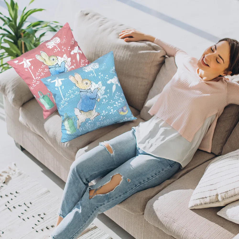 【英國比得兔】田園趣抱枕_2款可選 台灣製 雙面印花 雙面抱枕 歷史價格詳細信息