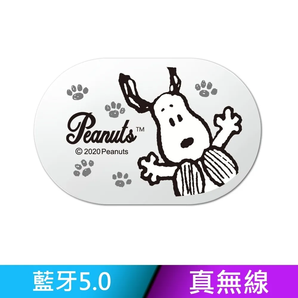 【正版授權】SNOOPY史努比 藍牙5.0 無線耳機+造型保護套組(附掛環) 歷史價格詳細信息