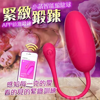 菡萏手鐲唐草S990純銀經典羽毛花紋立體鏤空南紅石鮫人淚手鐲西施正品促銷 歷史價格詳細信息