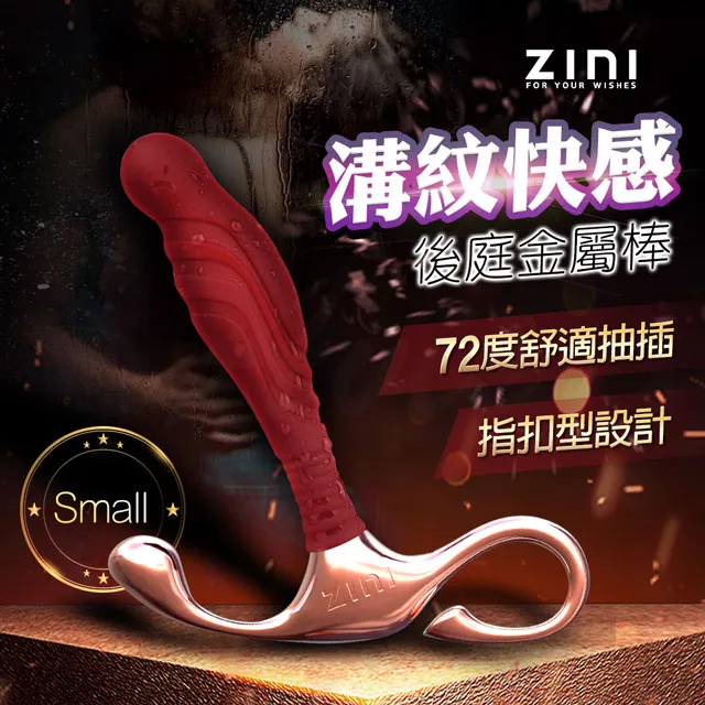 ZINI｜布萊克｜前列腺後庭金屬棒/中 歷史價格詳細信息