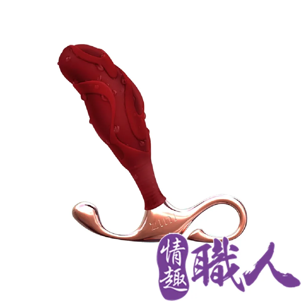 ZINI｜布萊克｜前列腺後庭金屬棒/中 歷史價格詳細信息