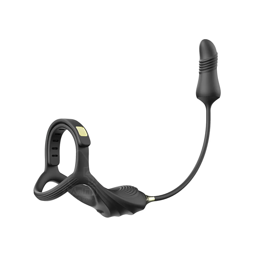 雙環前列腺高潮後庭震動器(655379) 歷史價格詳細信息