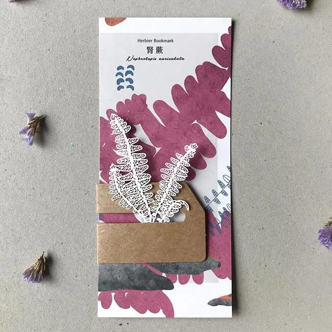 【FERN ONLY 只有蕨】蕨類風景餐桌墊-生根卷柏 歷史價格詳細信息