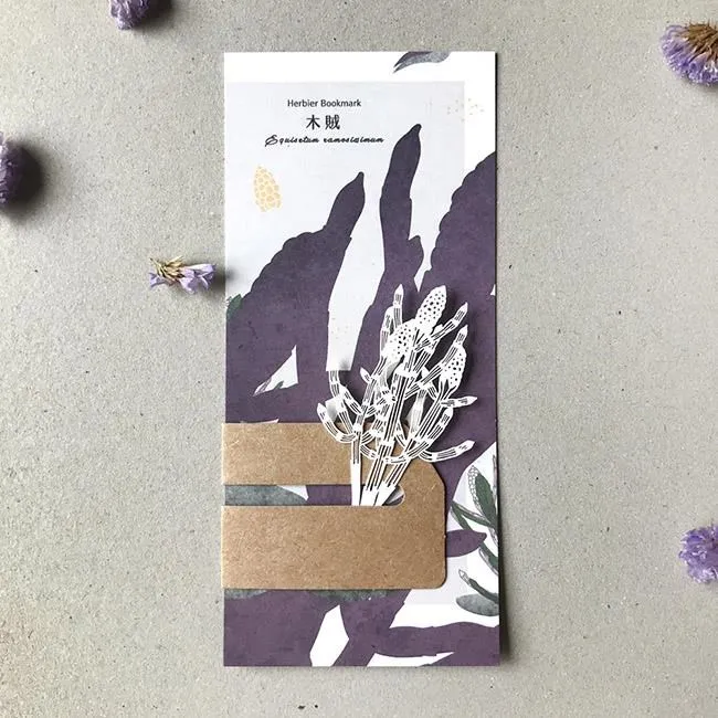 【FERN ONLY 只有蕨】蕨類風景餐桌墊-生根卷柏 歷史價格詳細信息