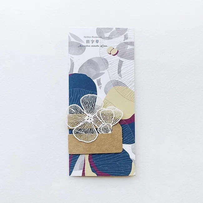 【FERN ONLY 只有蕨】蕨類風景餐桌墊-生根卷柏 歷史價格詳細信息