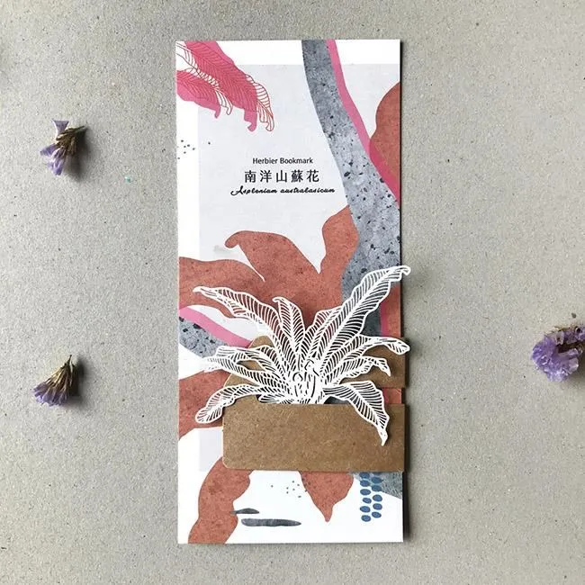 【FERN ONLY 只有蕨】蕨類標本紙雕-臺灣原始觀音座蓮 歷史價格詳細信息
