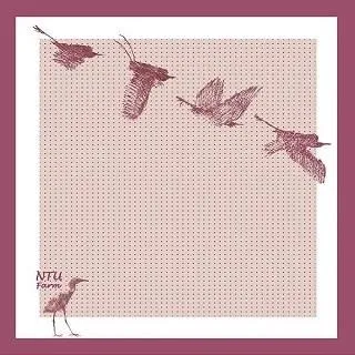 【博鉅市集】ROCOCO 洛可可 《六層紗幼兒防踢背心》 M號 歷史價格詳細信息