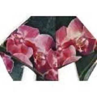 【博鉅市集】ROCOCO 洛可可 《六層紗幼兒防踢背心》 M號 歷史價格詳細信息