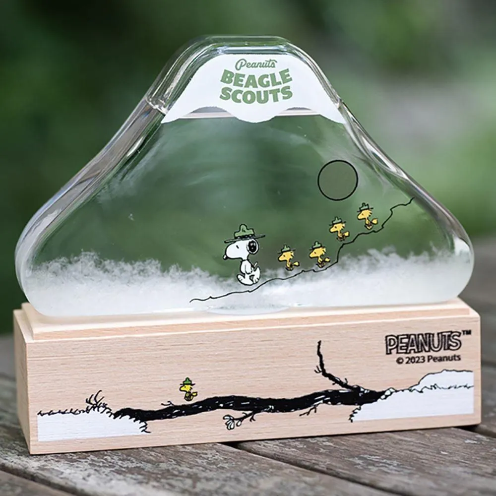 史努比SNOOPY 小哈利奶嘴 替換奶嘴 限用史努比小哈利系列、貝雅系列 歷史價格詳細信息