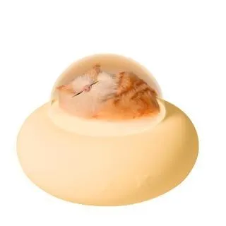 【富樂屋】平面耐用貓抓板 100%台灣製造 耐抓 耐磨  雙面均可使用「一組9入」 歷史價格詳細信息