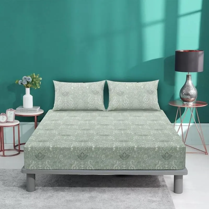 H&H 石墨烯鍺能量襪 組合包 免運費 女生組 歷史價格詳細信息