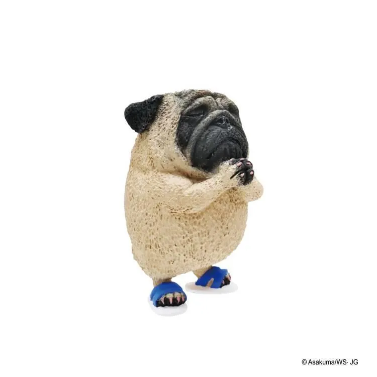 朝隈俊男-不哭不哭眼淚是珍珠 [10入/中盒] 歷史價格詳細信息