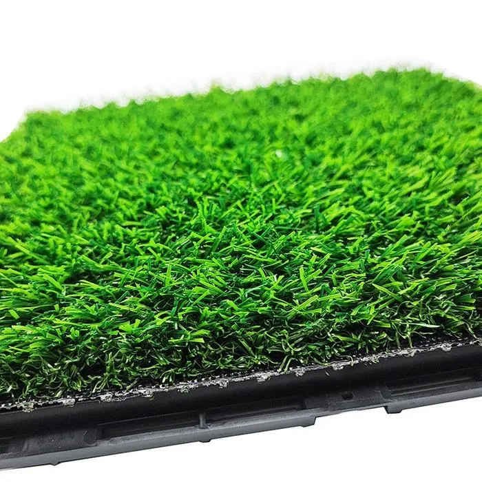 N1670 大局承擔-建銘的國會折衝與開誠求檔 2015 歷史價格詳細信息