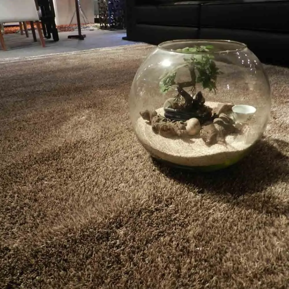 【山德力】歐密地毯 - 紫 160x230cm 歷史價格詳細信息