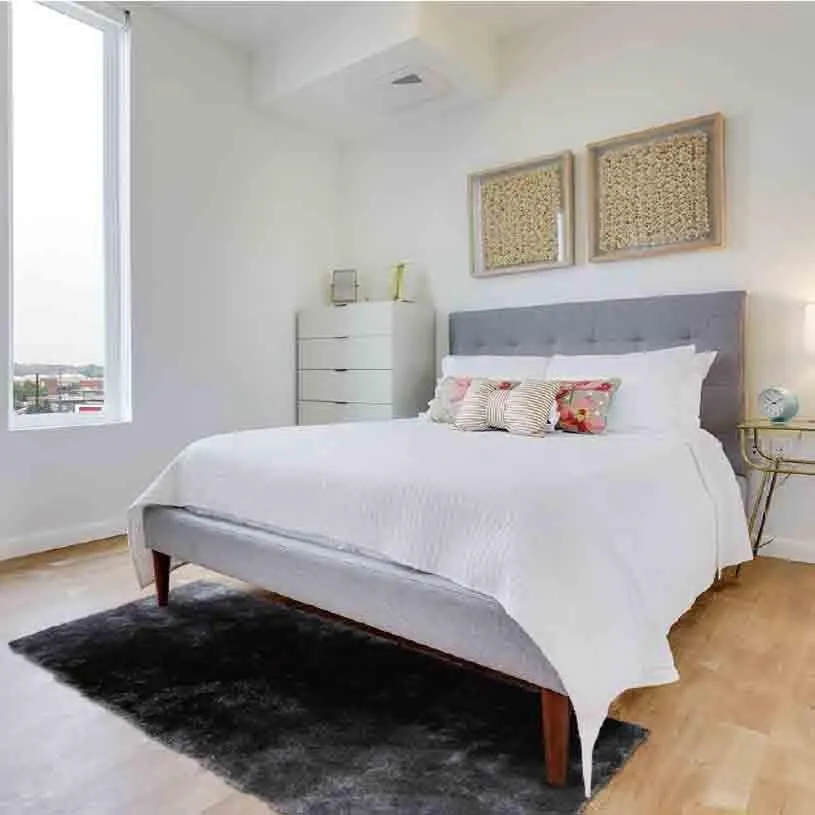 【山德力】薇尼絲地毯 -晨曦金160x230cm 歷史價格詳細信息