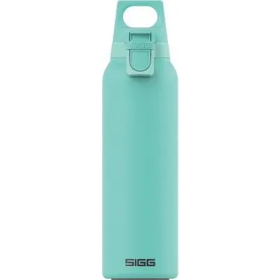 SIGG H&C One 不銹鋼保溫瓶 0.5L 黑色 歷史價格詳細信息