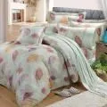 【FITNESS】精梳棉雙人七件式床罩組-花語情嵐-綠 歷史價格詳細信息