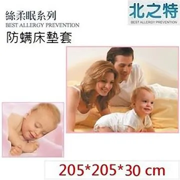 眠寢 雙人床包枕套組+枕頭2入   現貨 蝦皮直送 歷史價格詳細信息