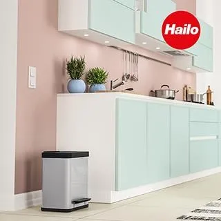 【HAILO】L100 TOPLINE 六階梯 歷史價格詳細信息