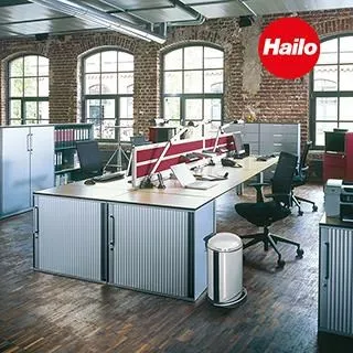 【HAILO】L100 TOPLINE 六階梯 歷史價格詳細信息