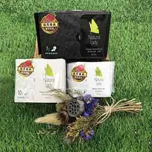 Natural Lady 漢方草本衛生棉-日用24CM(10入)*5包組 歷史價格詳細信息