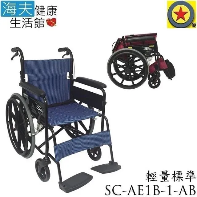 輪昇 特製推車 (未滅菌)【海夫健康生活館】輪昇 可掀扶手 輕量 平躺 輪 椅(MF-58C1) 歷史價格詳細信息