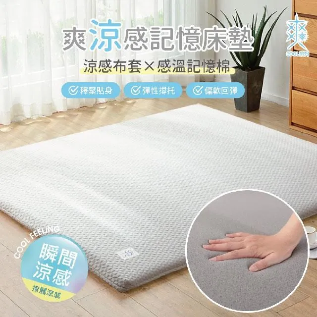 COOL TOUCH 爽涼感10cm記憶厚床墊-單人3x6.2尺 歷史價格詳細信息