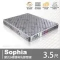 Sophia蘇菲亞 硬式6環護脊乳膠雙線床墊 雙人加大6尺 【赫拉居家】 歷史價格詳細信息