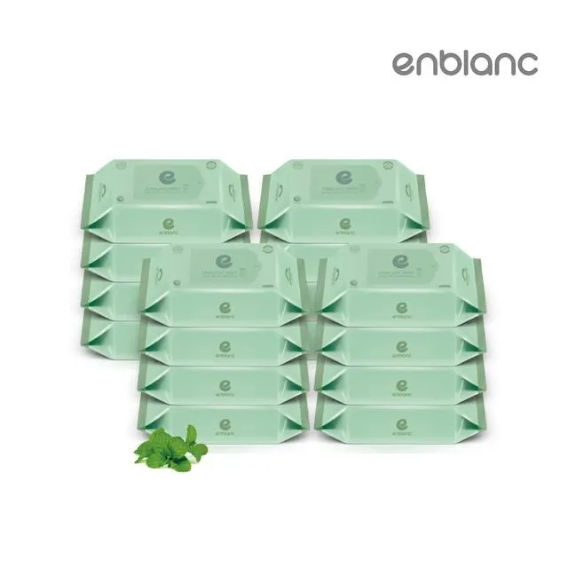 韓國 Enblanc 銀離子輕柔純水有蓋輕裝濕紙巾-仙人掌萃取物32抽10入|箱購【麗兒采家】 歷史價格詳細信息