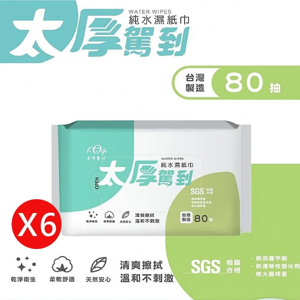 【宏瑋】太厚駕到純水濕紙巾x12入 (80抽/包) 歷史價格詳細信息