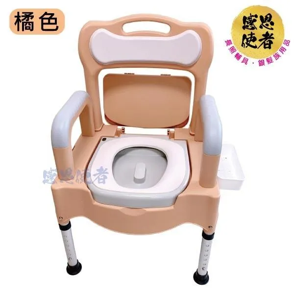 感恩使者 洗澡椅- 折疊式沐浴椅 ZHCN2208 有靠背,扶手可掀, 座面舒適 歷史價格詳細信息