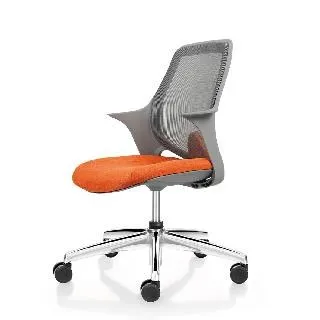 【舒樂活 4Health】 CO Chair 雪橇腳 歷史價格詳細信息