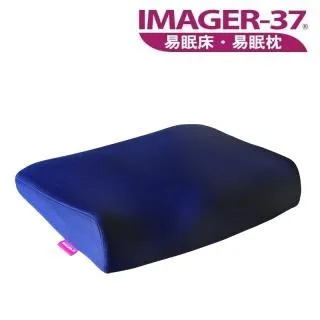 IMAGER-37 易眠枕  二型背墊 歷史價格詳細信息