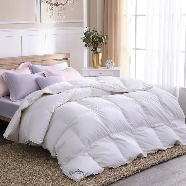 【寢室物語】英格蘭羽絨枕(單顆入) 歷史價格詳細信息