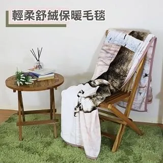 【赫拉居家】輕柔舒絨保暖懶人毛毯2入組 (兩款) 價格比較,價格查詢,歷史價格詳細信息