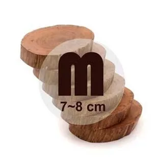 台灣檜木杯墊-等等…人類，你要幹嗎？|芬多森林 歷史價格詳細信息