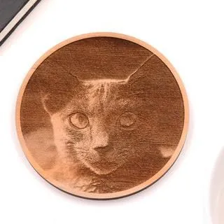 台灣檜木杯墊-等等…人類，你要幹嗎？|芬多森林 歷史價格詳細信息