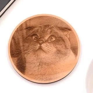 人類木馬程式：隨書附贈《21天快篩清除木馬實用手冊》，幫你快速打通金錢與[二手書_近全新]5548 TAAZE讀冊生活 歷史價格詳細信息