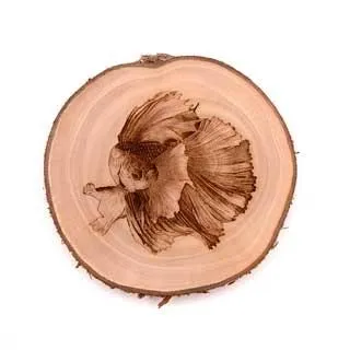 芬多森林 台灣肖楠 黃銅手機架 木手機架 原木手機座 名片座 木名片架 生日禮物 懶人支架 雷射雕刻 客製刻字 歷史價格詳細信息