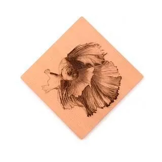 泰國鬥魚 PK 半月 大耳 子魚 成魚 隨機出清 歷史價格詳細信息