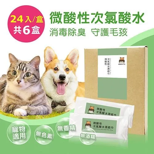 【BUBUPETTO】毛小孩次氯酸水濕紙巾24片-4盒組(次氯酸水 衛生 居家 貓 狗 毛小孩) 歷史價格詳細信息