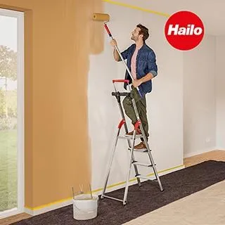 【HAILO】L100 TOPLINE 六階梯 歷史價格詳細信息