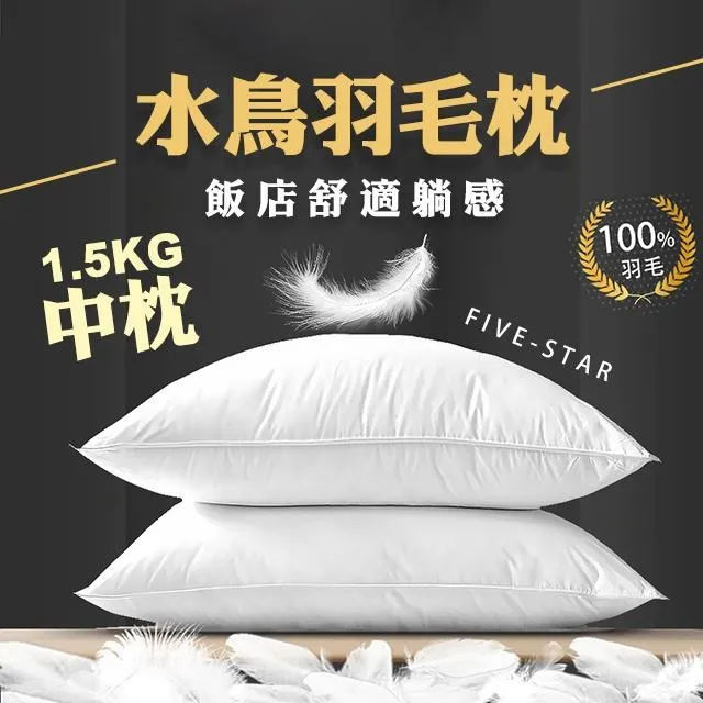 【藻土屋】MIT頂級破千熱銷專利石墨稀可水洗獨立筒枕頭飯店枕頭 SUD-J(2入組) 歷史價格詳細信息